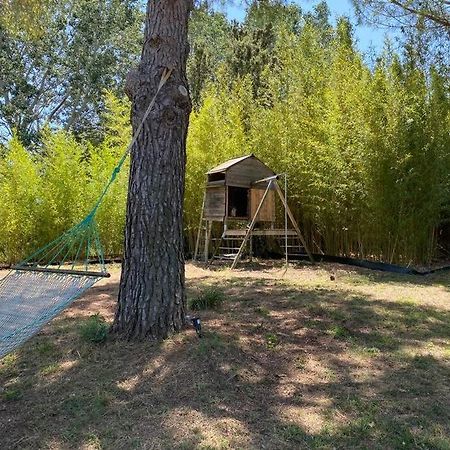 Petit Mas Calme Typique Du Sud ! Villa Valergues Ngoại thất bức ảnh